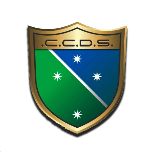 Club Colegio del Sur